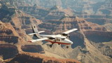 west rim grand canyon plane picture