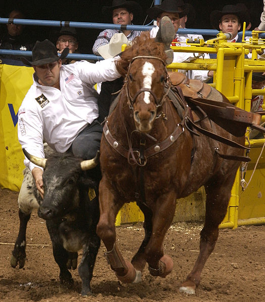 national finals rodeo